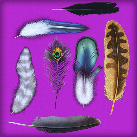 Tickling Feathers Set *Updated* - Daz Content by TheDevian