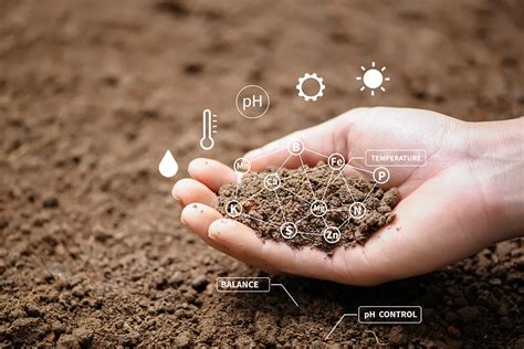 Image result for API Plant