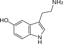 吃早餐晒太阳 血清素让你有活力 - 禁闻网