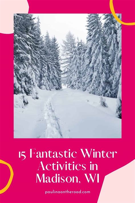 20 Ways to Enjoy Winter in Madison, WI - Paulina on the road