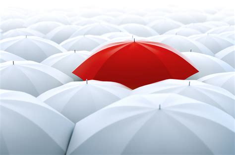 AMS Insurance Software Demo 的图像结果