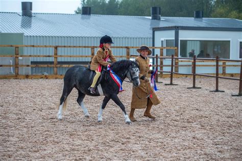 Working Hunter, Ridden and In Hand Showing Show Sunday 5th October ...