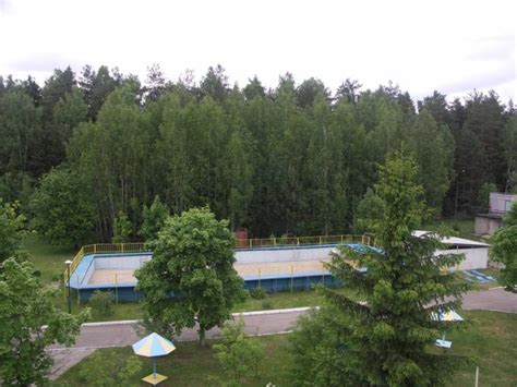 Подмосковный лагерь "МИР" 2025 для детей 7-16 лет