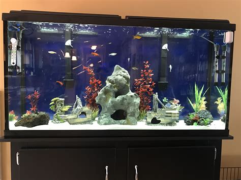 How To Set Up A 60 Gallon Fish Tank at Christopher Etheridge blog