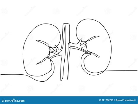 Kidney Human Organ One Line Art Drawing Stock Vector - Illustration of disease, isolated: 321756796