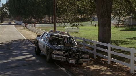 Black Sheep (1996) Screencap | Fancaps