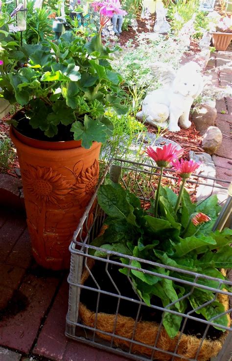 Image result for Types of Plant Containers