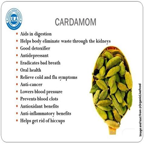 HEALTH BENEFITS OF CARDAMOM – Consumers Association Penang