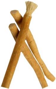 CzarDonic Sunnah Miswak Daatun Datman Teeth Brush Medium Toothbrush ...