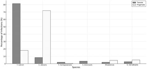 Analysis of Causative Factors and Potential Predictors of Onychomycosis ...