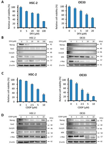 Cancers | Special Issue : Advances in Cancer Stem Cell Research