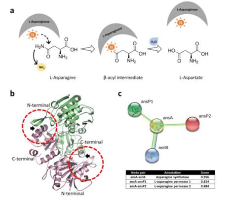 Home [web.iitd.ac.in]