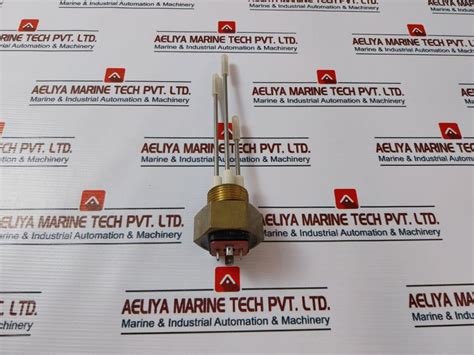 Fischer Nk06 Conductive Level Switch – Aeliya Marine Tech