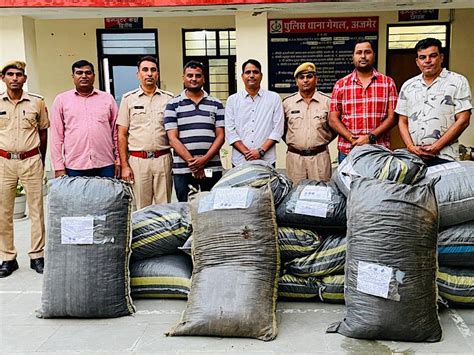 413 kg doda chura seized in ajmer smugglers flee after car stuck on ...
