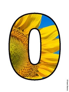 OUR SUNFLOWER CRAFT! Sunflower Bulletin Board Letters school resource ...