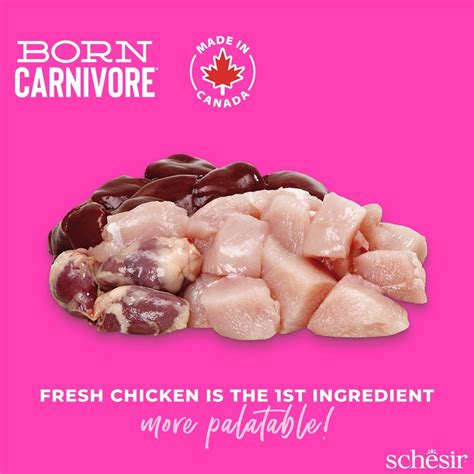 Schesir Born Carnivore Grain Free Oven Baked Dry Cat Chicken & Egg ...