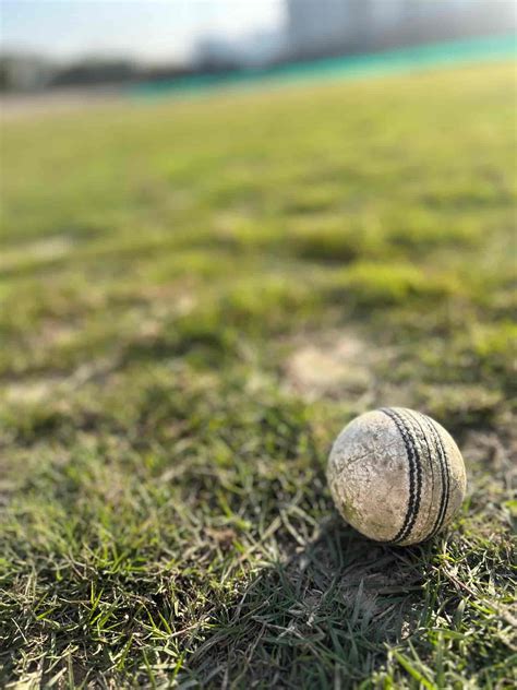Ss Cricket Ground in NDC Noida,Noida - Best Sports Ground near me in ...