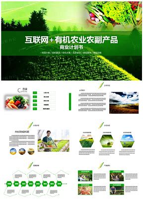 绿色有机互联网农业农副产品介绍网络营销PPT模板 - 彩虹办公