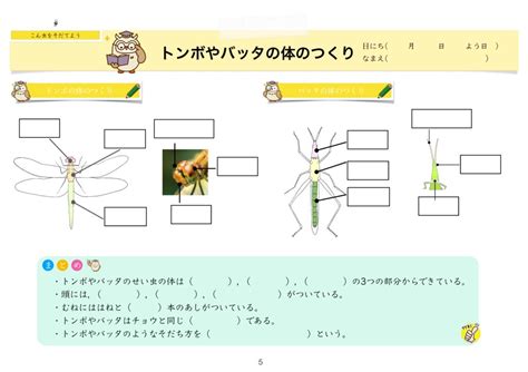 Image result for Spring MVC to Spring Cloud Function