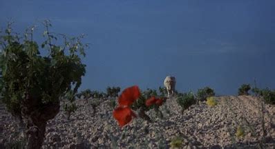 Image result for Alien Predator 1986 Movie