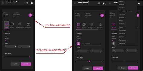 Find Your Perfect Match with SeekLoveNet - The Mega Personal Dating App ...