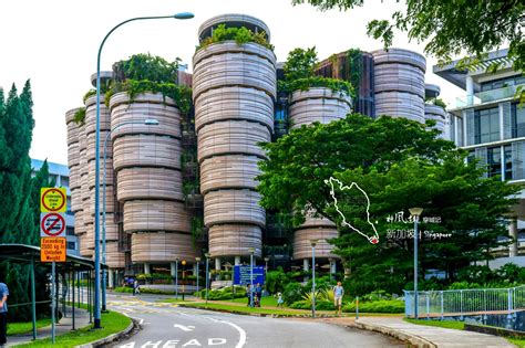 2021新加坡南洋理工大学游玩攻略,云南园也汇聚了丹下健三、托...【去哪儿攻略】