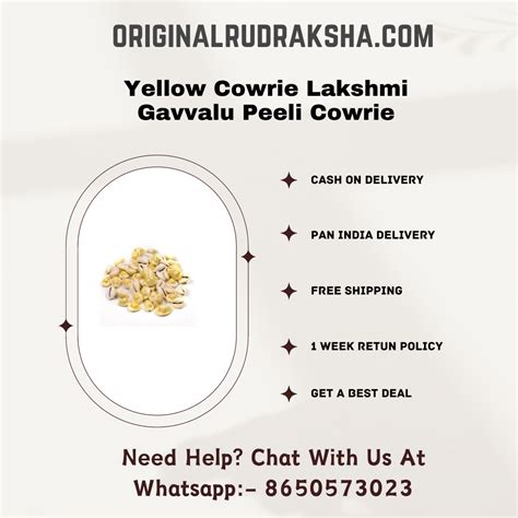Buy Yellow Cowrie Lakshmi Gavvalu | Gavvalu Peeli Cowrie Online ...