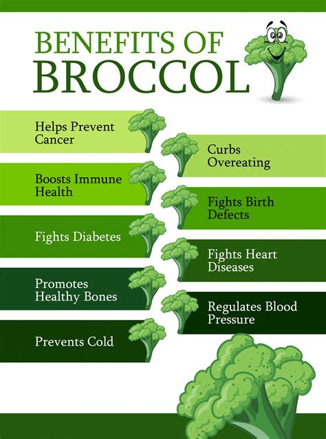 Health Benefits Of Broccoli For The Body at Rocio Wilds blog