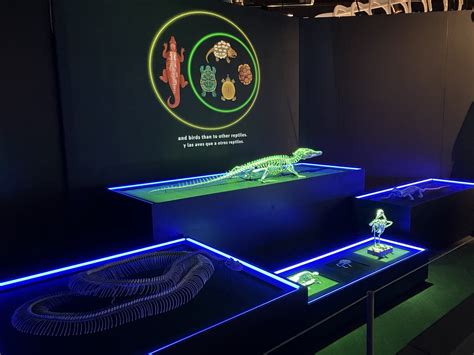 Extinct 的图像结果