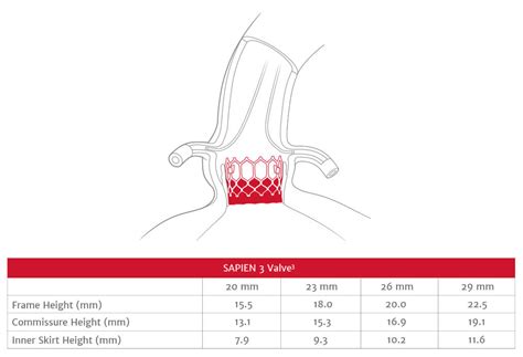 Image result for Visual 4 Programme PDF