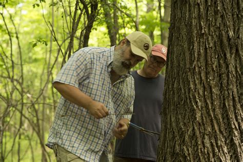 Earth Systems Science Lecture 的图像结果