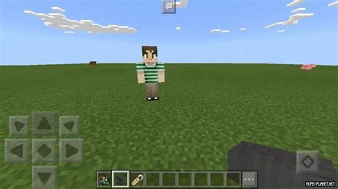 Image result for Minecraft Custom NPC Java
