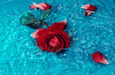 [100+] Sfondi 4k Ultra Hd 2160p | Wallpapers.com