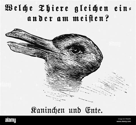 Duck-Rabbit illusion. From: Fliegende Blätter ("Which animals are most ...