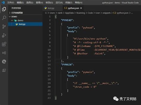 vs Code JSON Python Tutorial 的图像结果