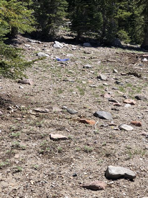 Mt Shasta and the return to the Telos portal – June 2021 - 40kftview.com