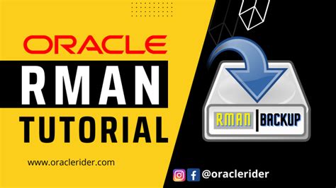 Oracle RMAN Tutorial 的图像结果