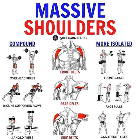 gym workout shoulder