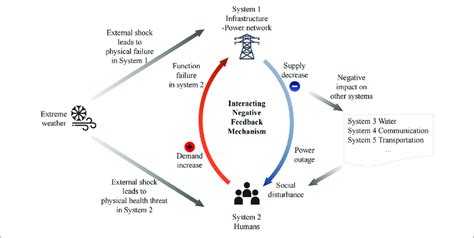 Image result for Negative Feedback Ecosystem