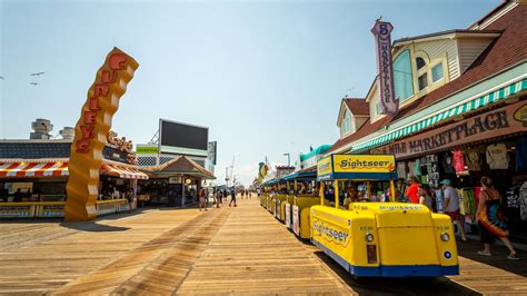 Are Dogs Allowed On The Wildwood Boardwalk