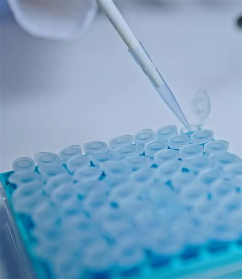 Worlds first lab-grown testicles may be capable of reproduction - Science - UNILAD Tech