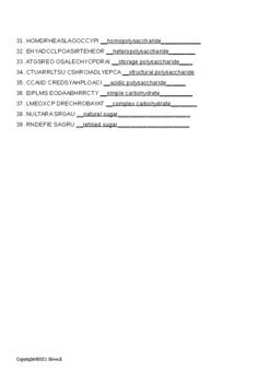 Carbohydrates Vocabulary Word Scramble for Biological Chemistry | TPT