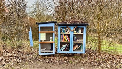 Image result for Library All Free Library