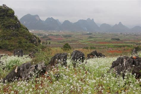 Peach Garden of Daling Mountain (Gongcheng County) - Lohnt es sich?