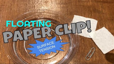 Image result for Paper Clip Experiment
