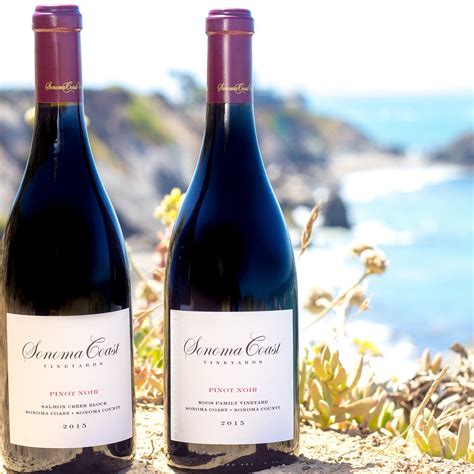 Sonoma Coast Vineyards - All You Need to Know BEFORE You Go (2025)