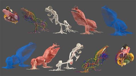 Image result for Cura Tutorial Project