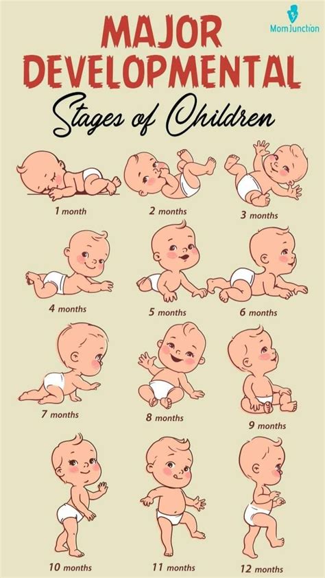 Image result for Developmental Process