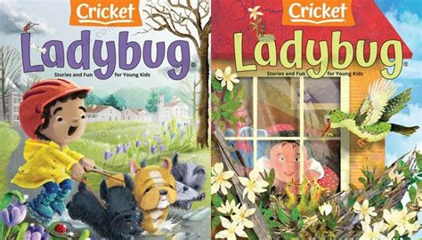 Ladybird | What the ladybird heard activities, Minibeasts activities ...