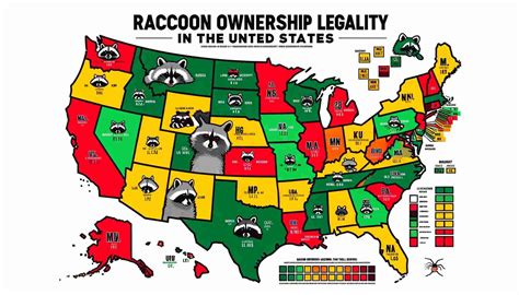 Is It Legal To Kill Raccoons In Iowa at Jason Rocha blog